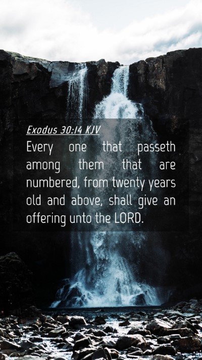 Picture 04 - Exodus 30:14 KJV Mobile Phone Wallpaper - Every one that passeth among them that are - Mobile Bible Verse Wallpaper