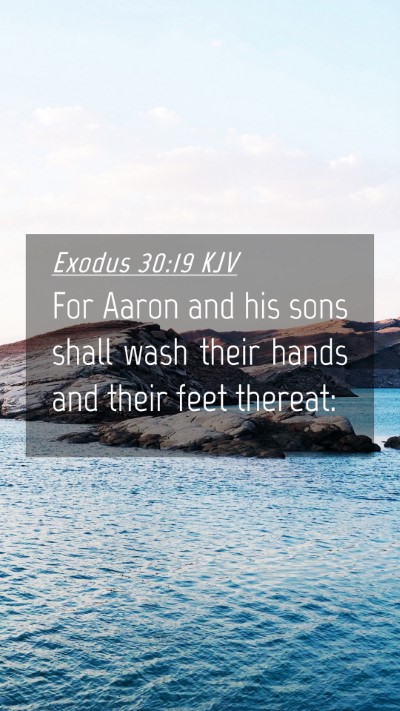 Picture 04 - Exodus 30:19 KJV Mobile Phone Wallpaper - For Aaron and his sons shall wash their hands and - Mobile Bible Verse Wallpaper