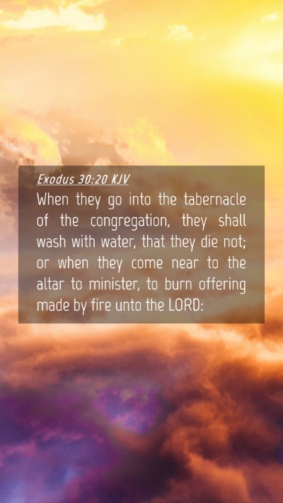 Picture 04 - Exodus 30:20 KJV Mobile Phone Wallpaper - When they go into the tabernacle of the - Mobile Bible Verse Wallpaper