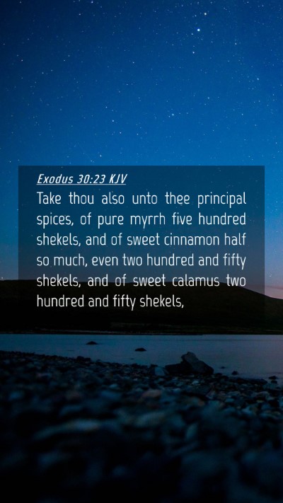 Picture 04 - Exodus 30:23 KJV Mobile Phone Wallpaper - Take thou also unto thee principal spices, of - Mobile Bible Verse Wallpaper