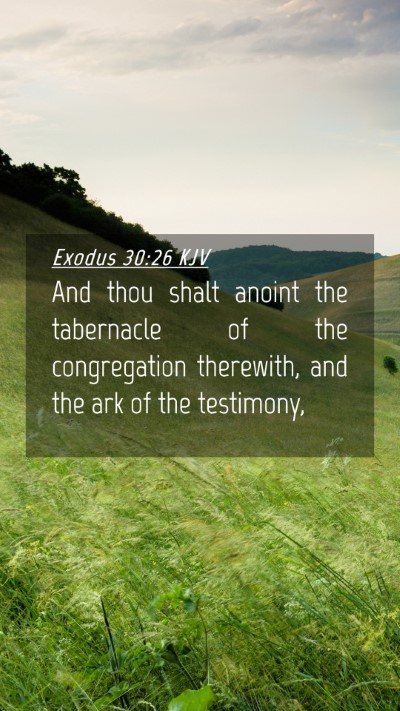 Picture 04 - Exodus 30:26 KJV Mobile Phone Wallpaper - And thou shalt anoint the tabernacle of the - Mobile Bible Verse Wallpaper