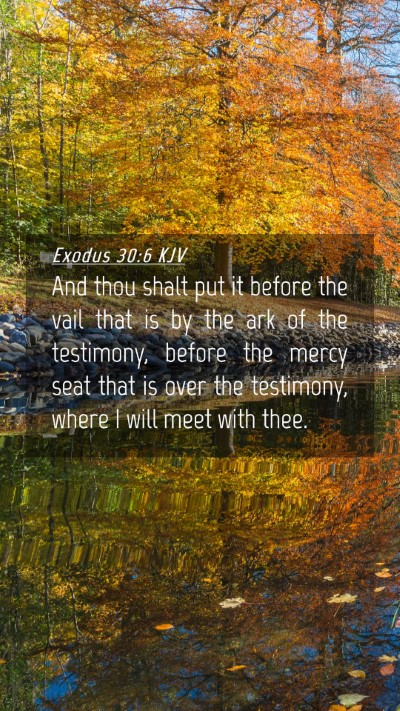 Picture 04 - Exodus 30:6 KJV Mobile Phone Wallpaper - And thou shalt put it before the vail that is by - Mobile Bible Verse Wallpaper