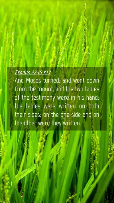 Picture 04 - Exodus 32:15 KJV Mobile Phone Wallpaper - And Moses turned, and went down from the mount, - Mobile Bible Verse Wallpaper