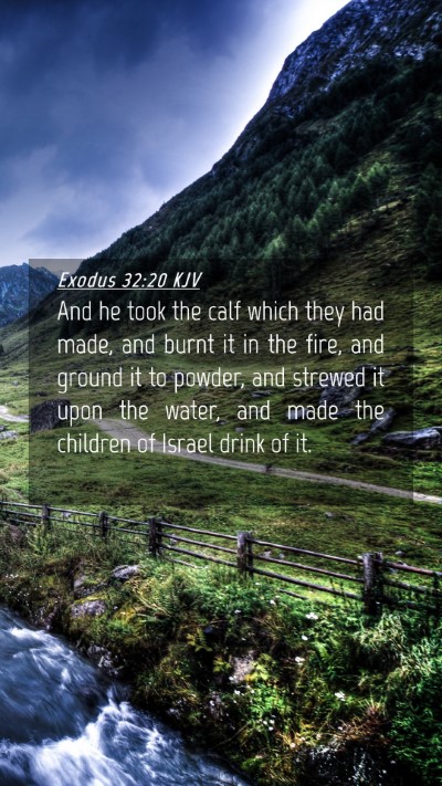 Picture 04 - Exodus 32:20 KJV Mobile Phone Wallpaper - And he took the calf which they had made, and - Mobile Bible Verse Wallpaper