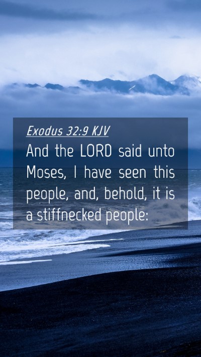 Picture 04 - Exodus 32:9 KJV Mobile Phone Wallpaper - And the LORD said unto Moses, I have seen this - Mobile Bible Verse Wallpaper