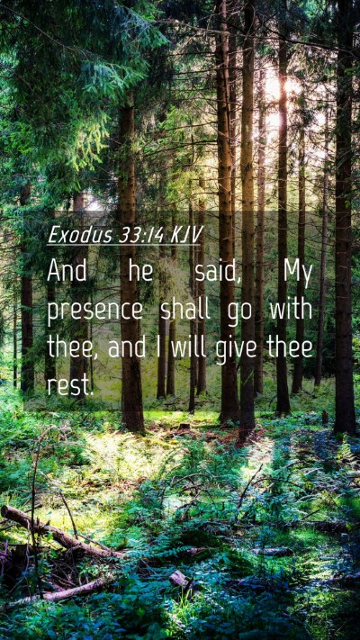 Picture 04 - Exodus 33:14 KJV Mobile Phone Wallpaper - And he said, My presence shall go with thee, and - Mobile Bible Verse Wallpaper