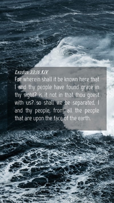 Picture 04 - Exodus 33:16 KJV Mobile Phone Wallpaper - For wherein shall it be known here that I and thy - Mobile Bible Verse Wallpaper