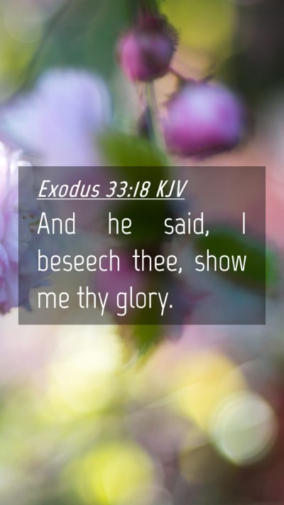 Picture 04 - Exodus 33:18 KJV Mobile Phone Wallpaper - And he said, I beseech thee, show me thy - Mobile Bible Verse Wallpaper