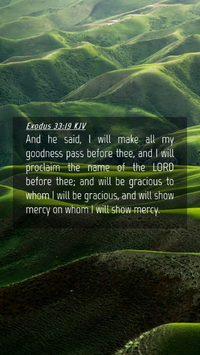 Picture 04 - Exodus 33:19 KJV Mobile Phone Wallpaper - And he said, I will make all my goodness pass - Mobile Bible Verse Wallpaper