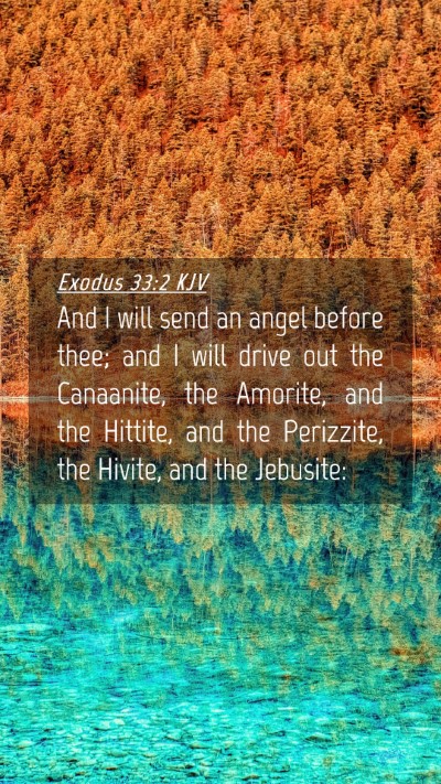 Picture 04 - Exodus 33:2 KJV Mobile Phone Wallpaper - And I will send an angel before thee; and I will - Mobile Bible Verse Wallpaper
