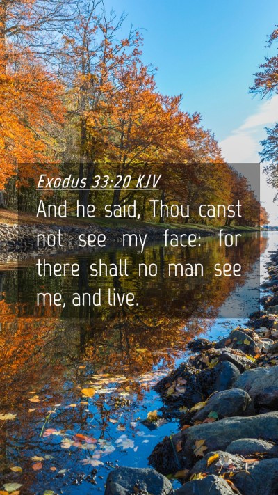 Picture 04 - Exodus 33:20 KJV Mobile Phone Wallpaper - And he said, Thou canst not see my face: for - Mobile Bible Verse Wallpaper