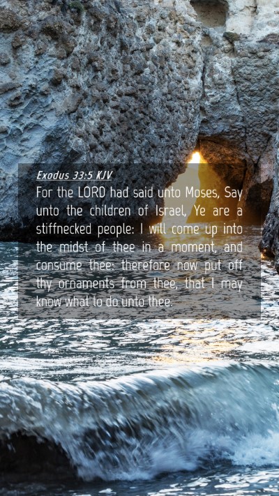 Picture 04 - Exodus 33:5 KJV Mobile Phone Wallpaper - For the LORD had said unto Moses, Say unto the - Mobile Bible Verse Wallpaper