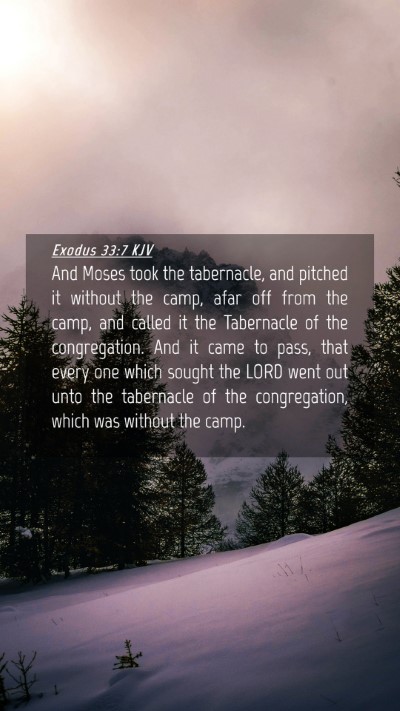 Picture 04 - Exodus 33:7 KJV Mobile Phone Wallpaper - And Moses took the tabernacle, and pitched it - Mobile Bible Verse Wallpaper