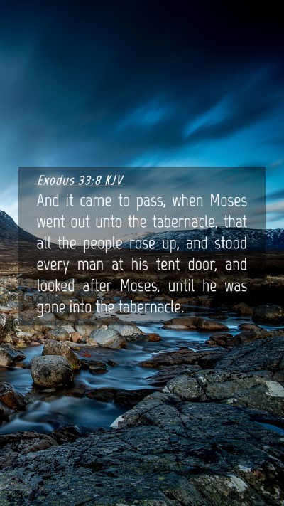 Picture 04 - Exodus 33:8 KJV Mobile Phone Wallpaper - And it came to pass, when Moses went out unto the - Mobile Bible Verse Wallpaper