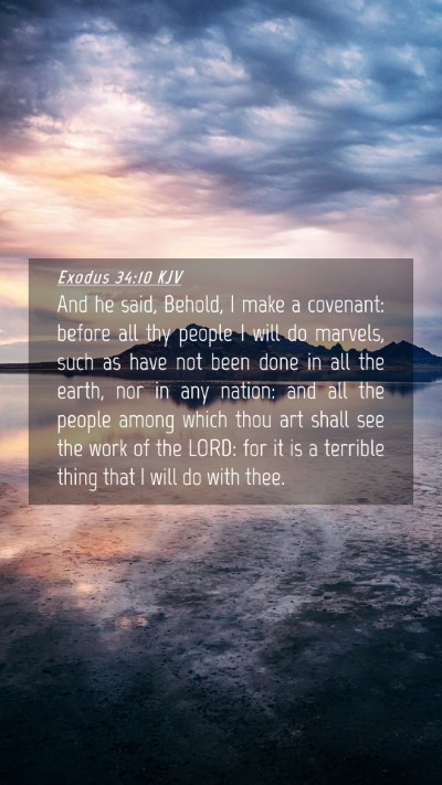 Picture 04 - Exodus 34:10 KJV Mobile Phone Wallpaper - And he said, Behold, I make a covenant: before - Mobile Bible Verse Wallpaper
