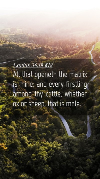 Picture 04 - Exodus 34:19 KJV Mobile Phone Wallpaper - All that openeth the matrix is mine; and every - Mobile Bible Verse Wallpaper
