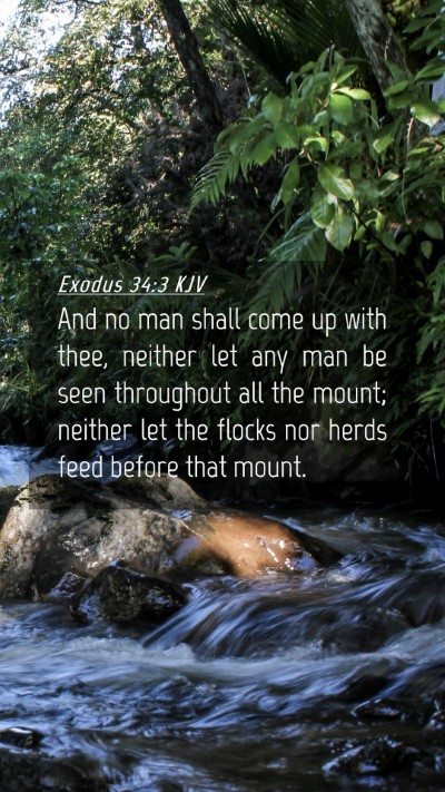 Picture 04 - Exodus 34:3 KJV Mobile Phone Wallpaper - And no man shall come up with thee, neither let - Mobile Bible Verse Wallpaper