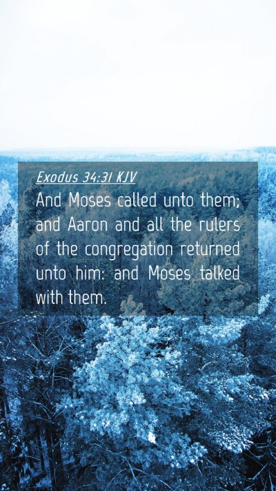 Picture 04 - Exodus 34:31 KJV Mobile Phone Wallpaper - And Moses called unto them; and Aaron and all the - Mobile Bible Verse Wallpaper