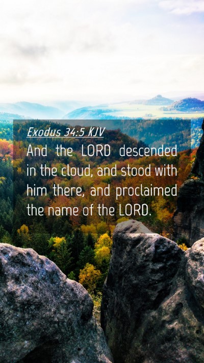 Picture 04 - Exodus 34:5 KJV Mobile Phone Wallpaper - And the LORD descended in the cloud, and stood - Mobile Bible Verse Wallpaper
