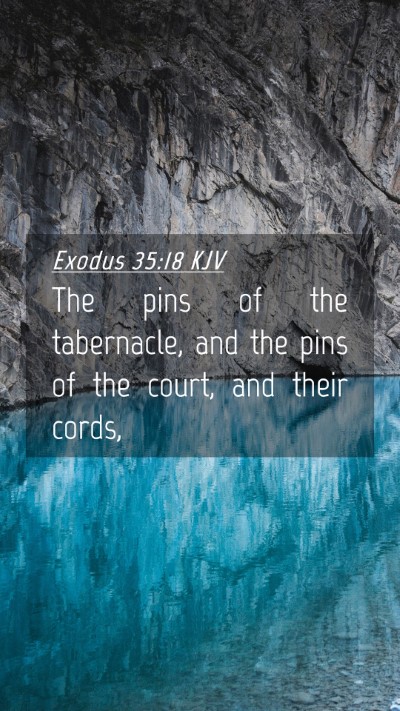 Picture 04 - Exodus 35:18 KJV Mobile Phone Wallpaper - The pins of the tabernacle, and the pins of the - Mobile Bible Verse Wallpaper