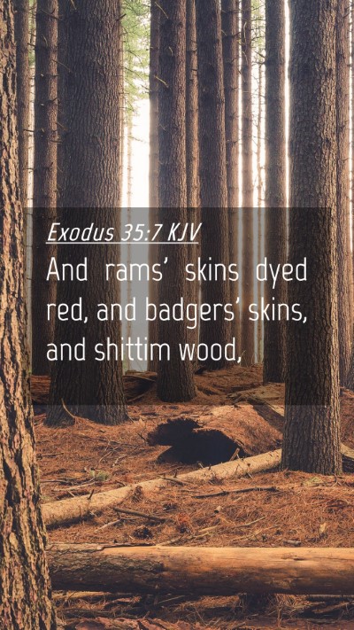 Picture 04 - Exodus 35:7 KJV Mobile Phone Wallpaper - And rams' skins dyed red, and badgers' skins, and - Mobile Bible Verse Wallpaper