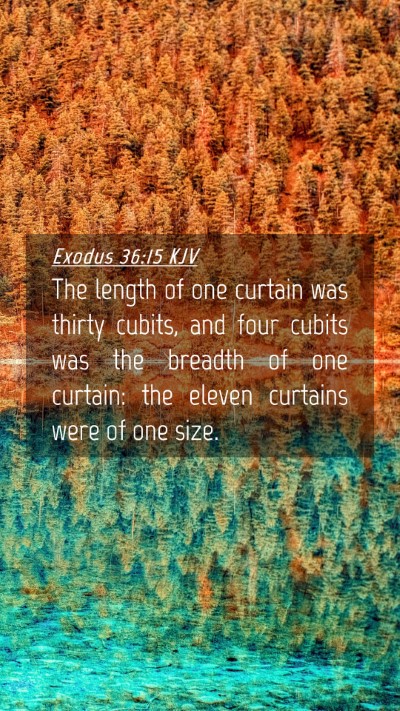 Picture 04 - Exodus 36:15 KJV Mobile Phone Wallpaper - The length of one curtain was thirty cubits, and - Mobile Bible Verse Wallpaper