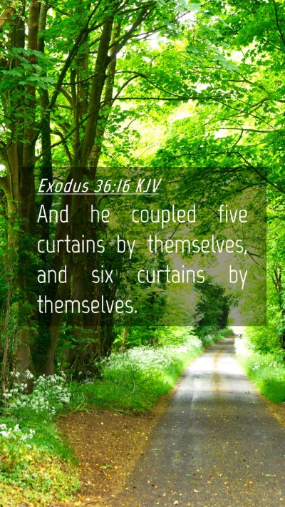 Picture 04 - Exodus 36:16 KJV Mobile Phone Wallpaper - And he coupled five curtains by themselves, and - Mobile Bible Verse Wallpaper
