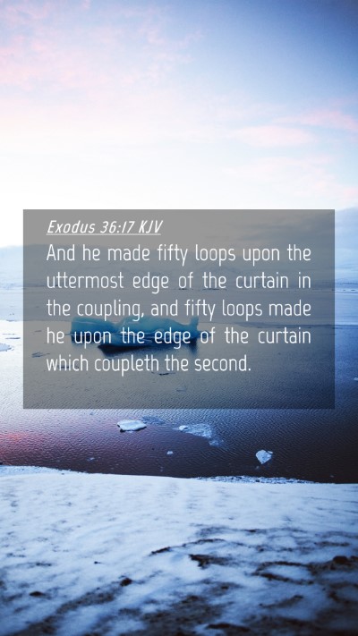 Picture 04 - Exodus 36:17 KJV Mobile Phone Wallpaper - And he made fifty loops upon the uttermost edge - Mobile Bible Verse Wallpaper