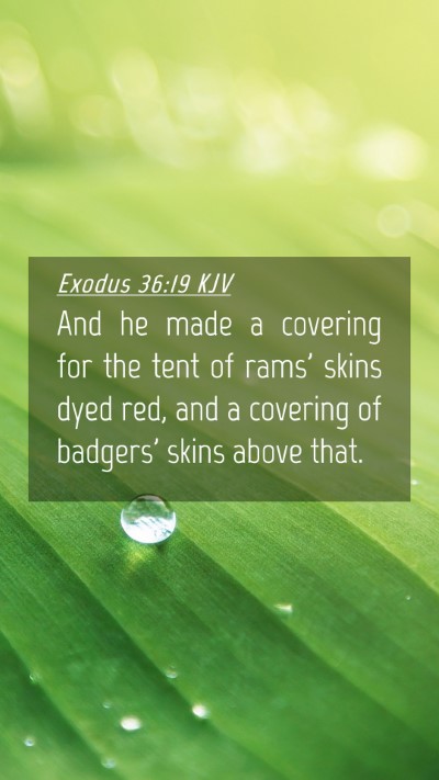 Picture 04 - Exodus 36:19 KJV Mobile Phone Wallpaper - And he made a covering for the tent of rams' - Mobile Bible Verse Wallpaper