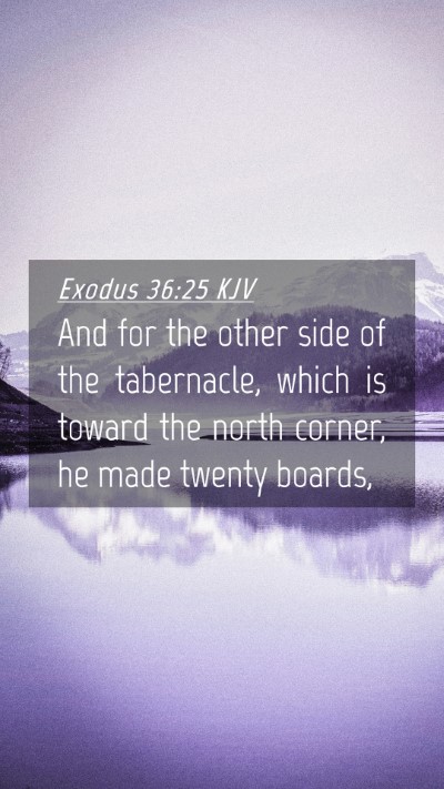 Picture 04 - Exodus 36:25 KJV Mobile Phone Wallpaper - And for the other side of the tabernacle, which - Mobile Bible Verse Wallpaper