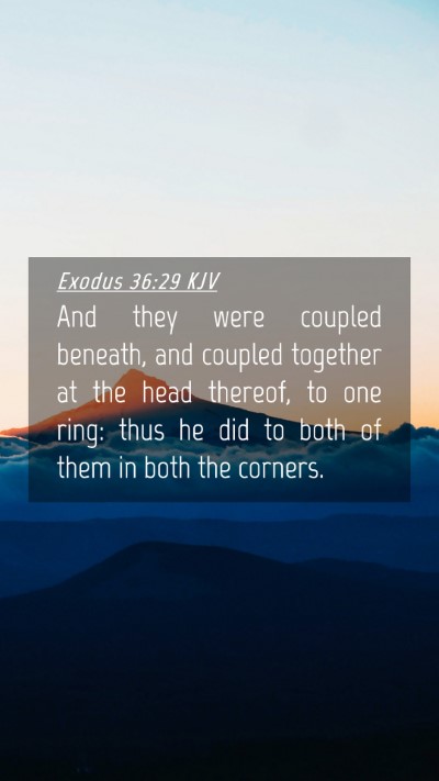 Picture 04 - Exodus 36:29 KJV Mobile Phone Wallpaper - And they were coupled beneath, and coupled - Mobile Bible Verse Wallpaper