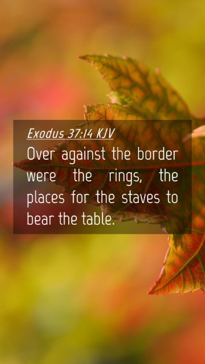 Picture 04 - Exodus 37:14 KJV Mobile Phone Wallpaper - Over against the border were the rings, the - Mobile Bible Verse Wallpaper