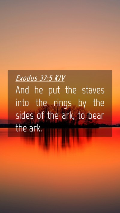 Picture 04 - Exodus 37:5 KJV Mobile Phone Wallpaper - And he put the staves into the rings by the sides - Mobile Bible Verse Wallpaper
