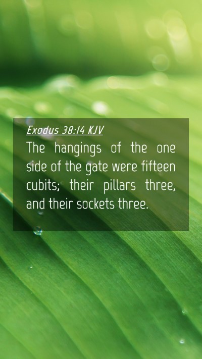 Picture 04 - Exodus 38:14 KJV Mobile Phone Wallpaper - The hangings of the one side of the gate were - Mobile Bible Verse Wallpaper