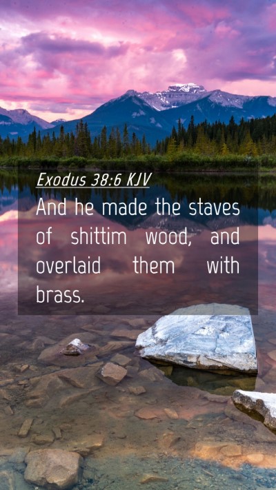 Picture 04 - Exodus 38:6 KJV Mobile Phone Wallpaper - And he made the staves of shittim wood, and - Mobile Bible Verse Wallpaper