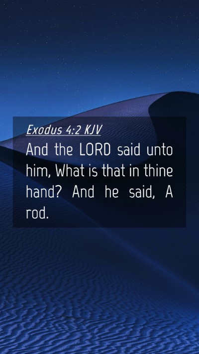 Picture 04 - Exodus 4:2 KJV Mobile Phone Wallpaper - And the LORD said unto him, What is that in thine - Mobile Bible Verse Wallpaper