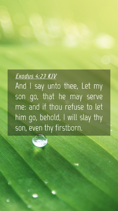 Picture 04 - Exodus 4:23 KJV Mobile Phone Wallpaper - And I say unto thee, Let my son go, that he may - Mobile Bible Verse Wallpaper