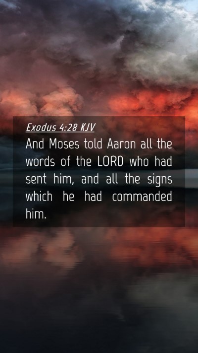 Picture 04 - Exodus 4:28 KJV Mobile Phone Wallpaper - And Moses told Aaron all the words of the LORD - Mobile Bible Verse Wallpaper