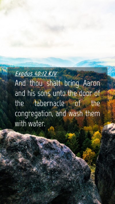 Picture 04 - Exodus 40:12 KJV Mobile Phone Wallpaper - And thou shalt bring Aaron and his sons unto the - Mobile Bible Verse Wallpaper