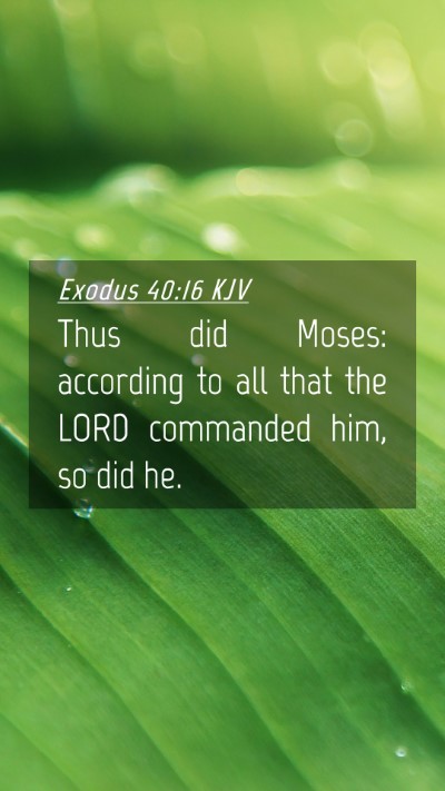 Picture 04 - Exodus 40:16 KJV Mobile Phone Wallpaper - Thus did Moses: according to all that the LORD - Mobile Bible Verse Wallpaper