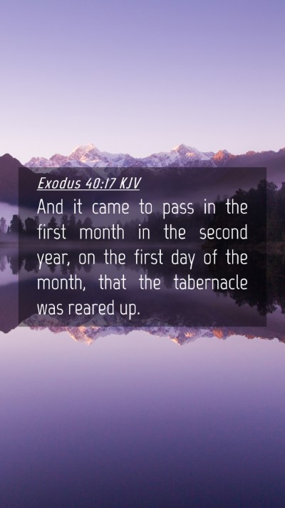 Picture 04 - Exodus 40:17 KJV Mobile Phone Wallpaper - And it came to pass in the first month in the - Mobile Bible Verse Wallpaper