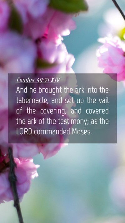 Picture 04 - Exodus 40:21 KJV Mobile Phone Wallpaper - And he brought the ark into the tabernacle, and - Mobile Bible Verse Wallpaper