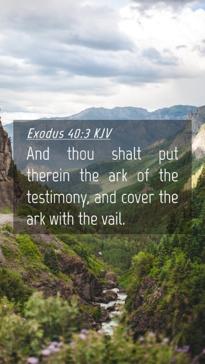 Picture 04 - Exodus 40:3 KJV Mobile Phone Wallpaper - And thou shalt put therein the ark of the - Mobile Bible Verse Wallpaper