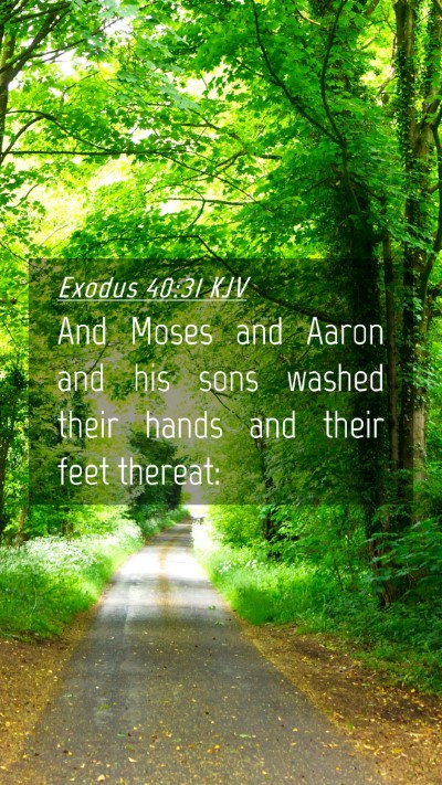 Picture 04 - Exodus 40:31 KJV Mobile Phone Wallpaper - And Moses and Aaron and his sons washed their - Mobile Bible Verse Wallpaper