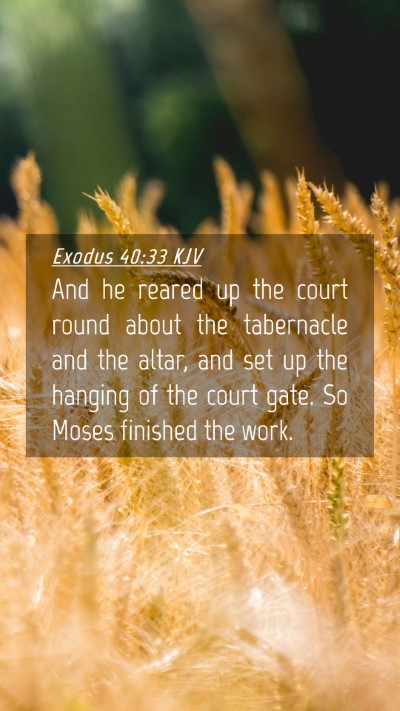 Picture 04 - Exodus 40:33 KJV Mobile Phone Wallpaper - And he reared up the court round about the - Mobile Bible Verse Wallpaper