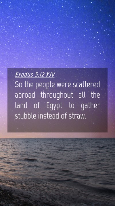 Picture 04 - Exodus 5:12 KJV Mobile Phone Wallpaper - So the people were scattered abroad throughout - Mobile Bible Verse Wallpaper
