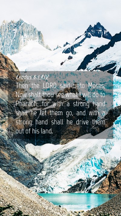 Picture 04 - Exodus 6:1 KJV Mobile Phone Wallpaper - Then the LORD said unto Moses, Now shalt thou see - Mobile Bible Verse Wallpaper