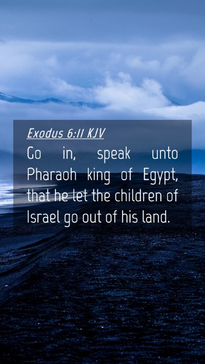 Picture 04 - Exodus 6:11 KJV Mobile Phone Wallpaper - Go in, speak unto Pharaoh king of Egypt, that he - Mobile Bible Verse Wallpaper