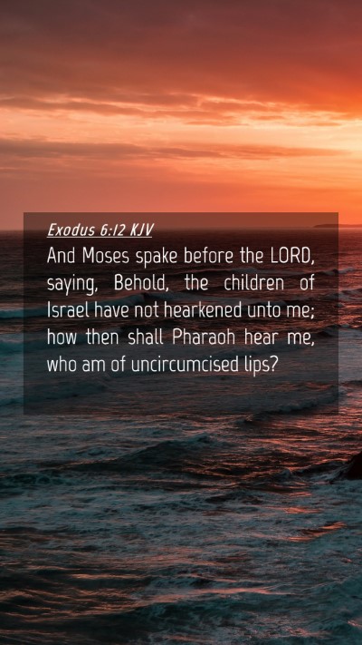 Picture 04 - Exodus 6:12 KJV Mobile Phone Wallpaper - And Moses spake before the LORD, saying, Behold, - Mobile Bible Verse Wallpaper