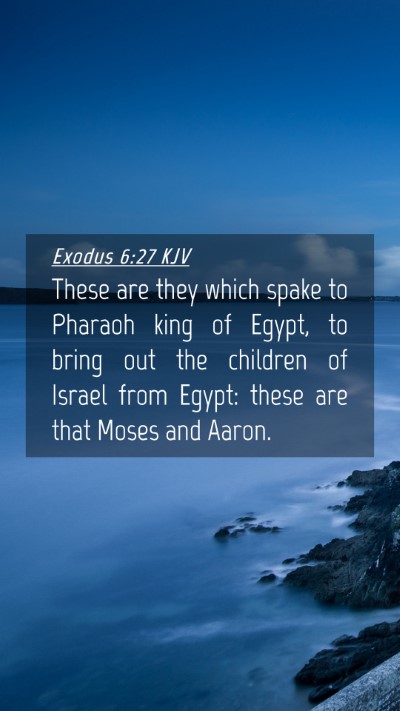 Picture 04 - Exodus 6:27 KJV Mobile Phone Wallpaper - These are they which spake to Pharaoh king of - Mobile Bible Verse Wallpaper